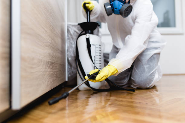 Best Local Pest Control Services  in Richmond, UT