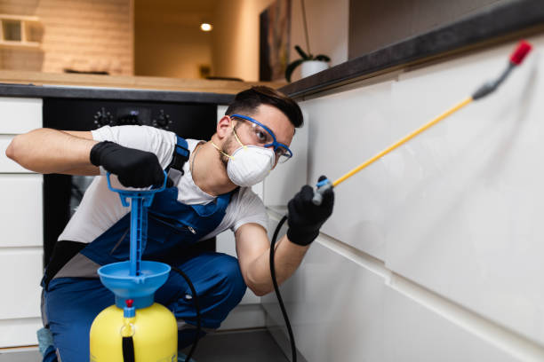 Best Termite Control Services  in Richmond, UT