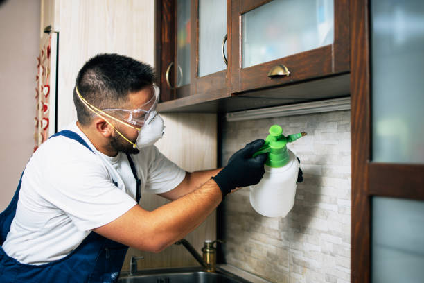 Best Residential Pest Control  in Richmond, UT