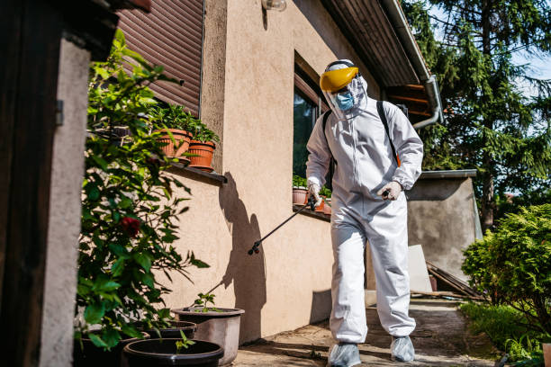 Best Ant Control Services  in Richmond, UT