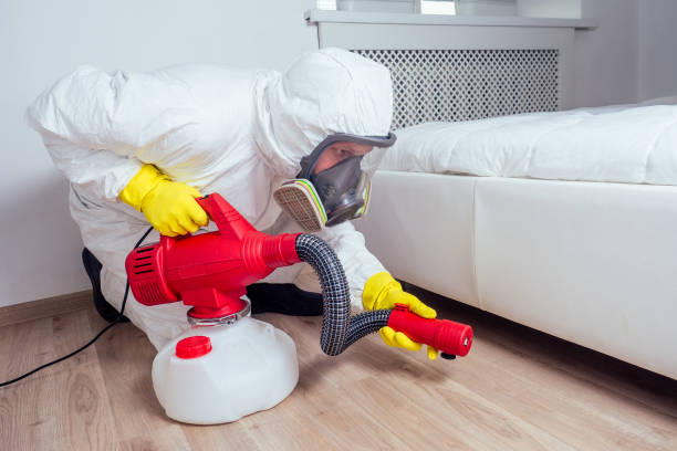 Best Wasp Removal Services  in Richmond, UT