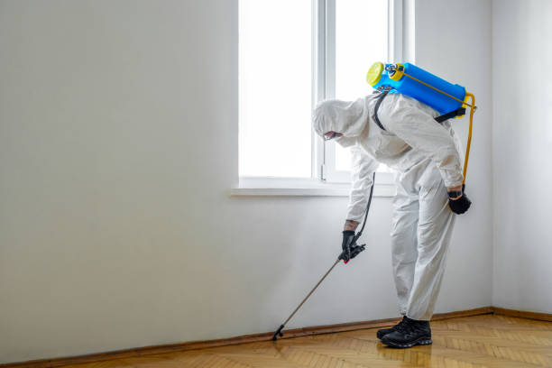 Best Local Pest Control Services  in Richmond, UT