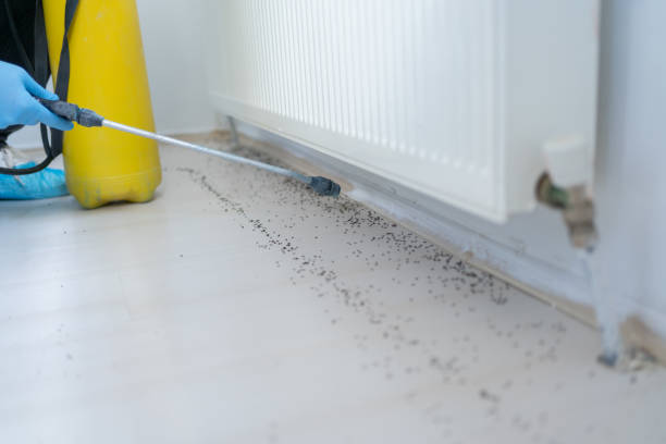 Best Affordable Pest Control Services  in Richmond, UT